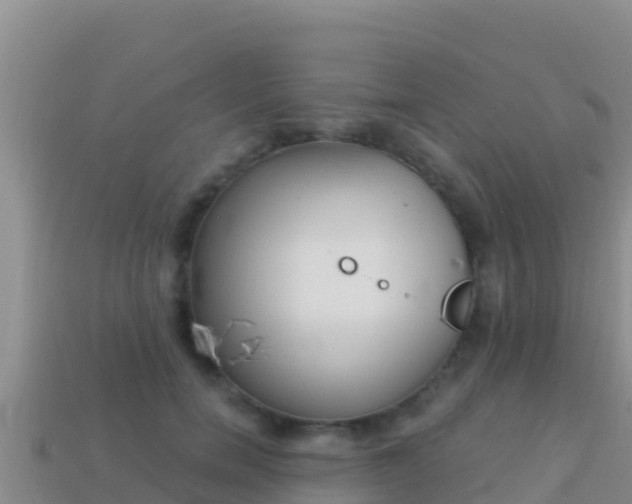 X0000114030750200910091434