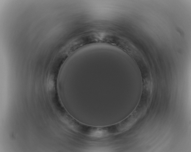 X0000114030754200910091434