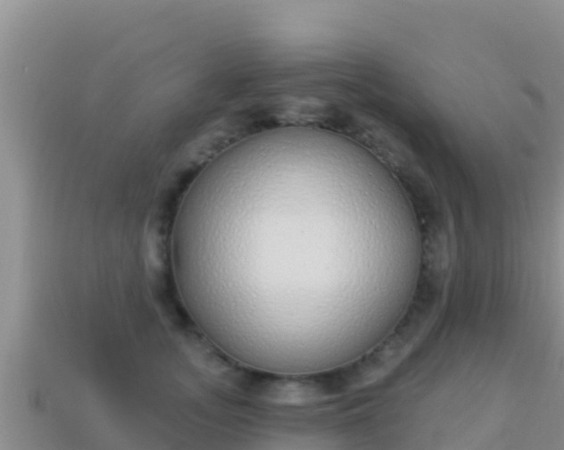 X0000114030755200910091434