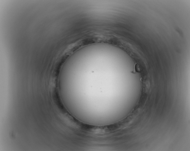 X0000114030756200910091434
