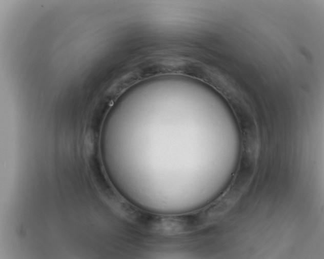 X0000114030758200910091434