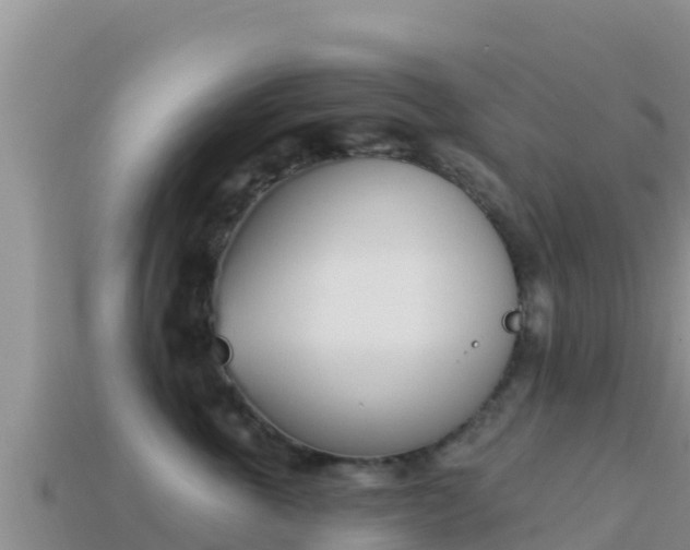 X0000114030763200910091434