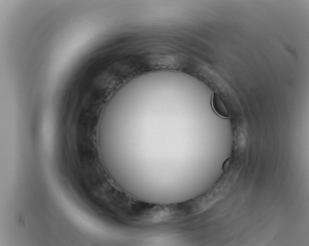 X0000114030764200910091434