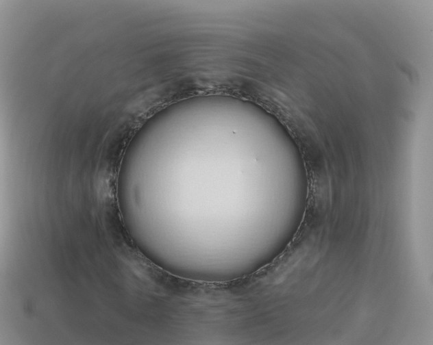 X0000114030770200910091433