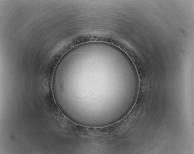 X0000114030774200910091433