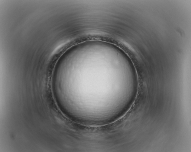 X0000114030775200910091433