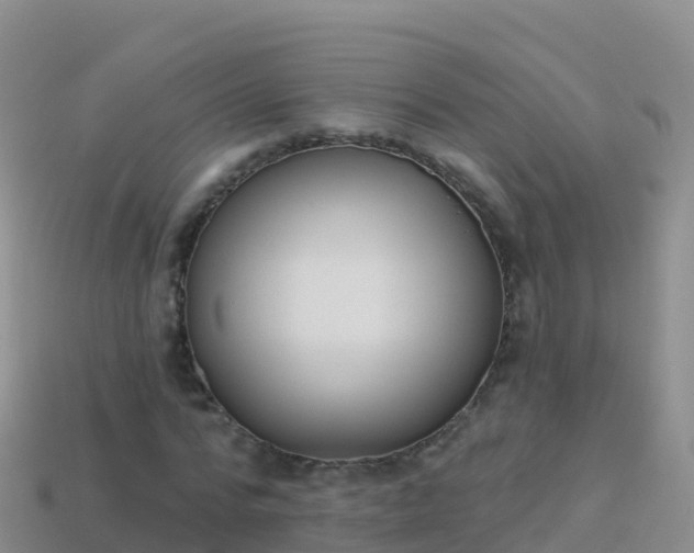 X0000114030776200910091433
