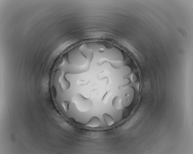 X0000114030778200910091433