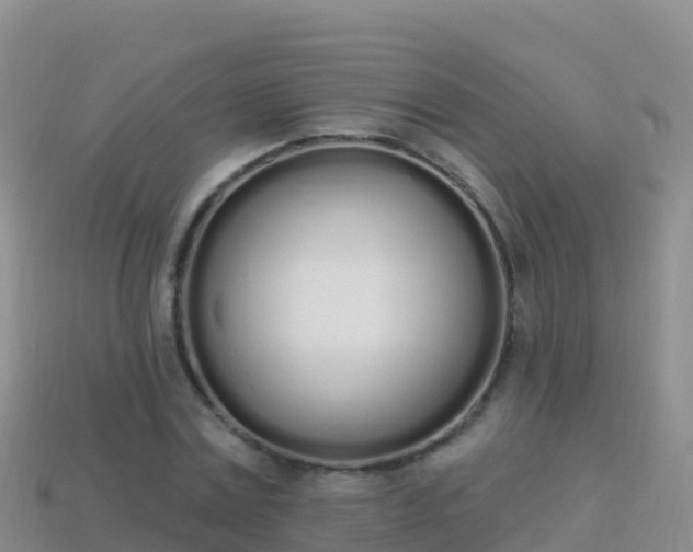 X0000114030779200910091433
