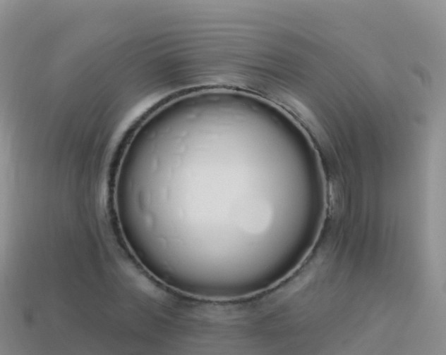 X0000114030780200910091433