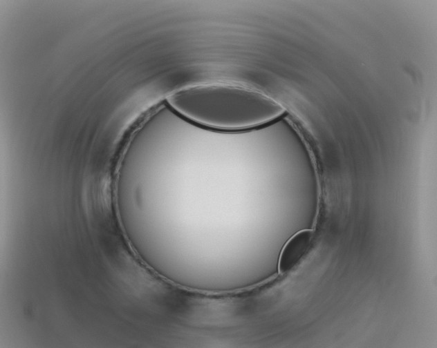 X0000114030781200910091433