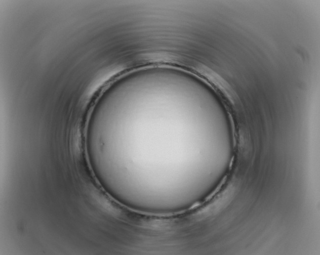 X0000114030782200910091433