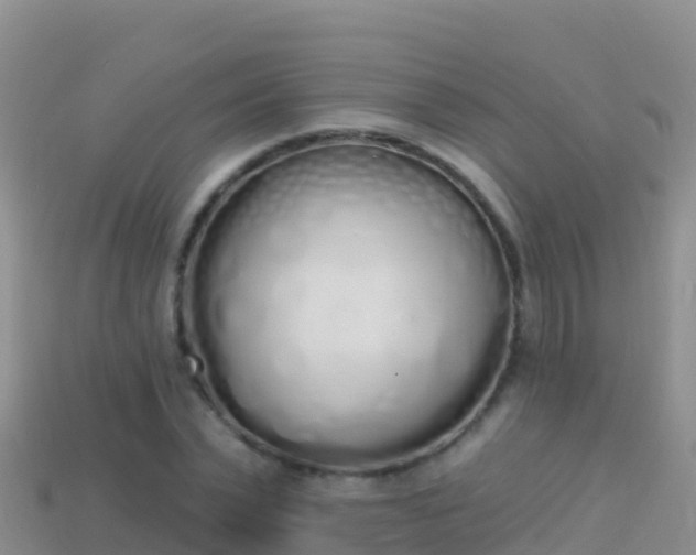 X0000114030783200910091433