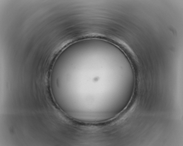 X0000114030785200910091433