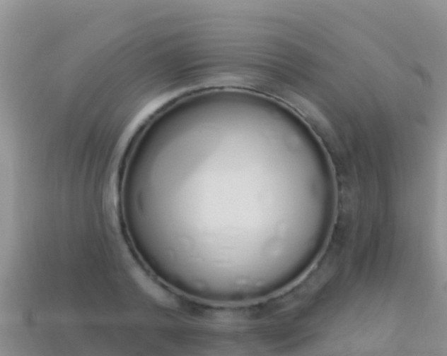 X0000114030792200910091433