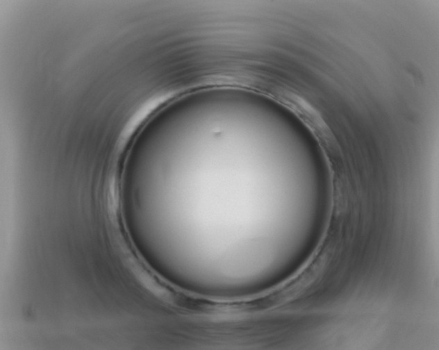 X0000114030796200910091433