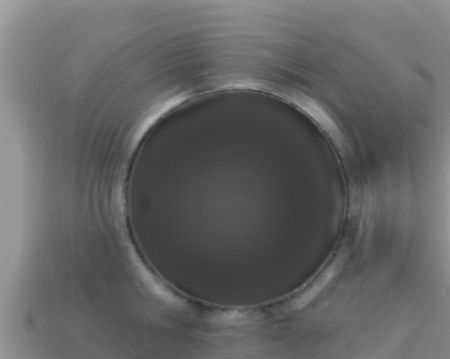 X0000114030806200910091433