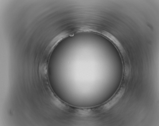 X0000114030809200910091433