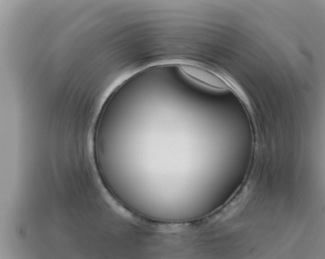 X0000114030813200910091433