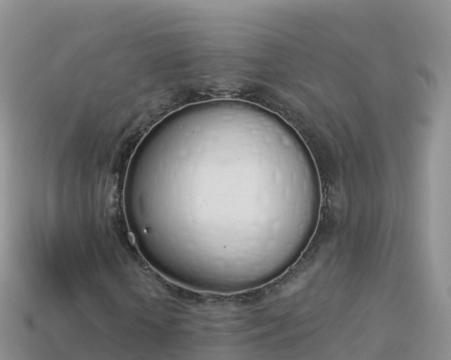 X0000114030818200910091432