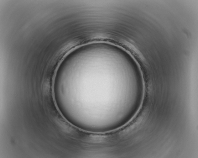 X0000114030825200910091432