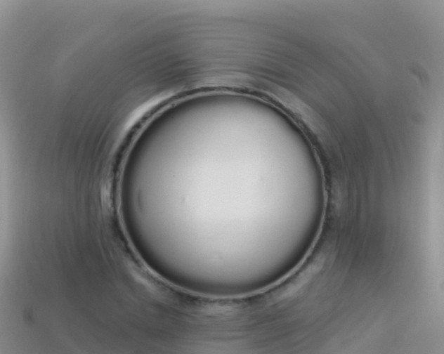 X0000114030830200910091432