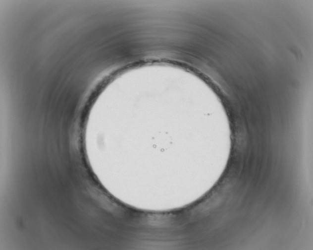 X0000114030832200910091432
