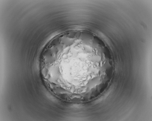 X0000114030835200910091432