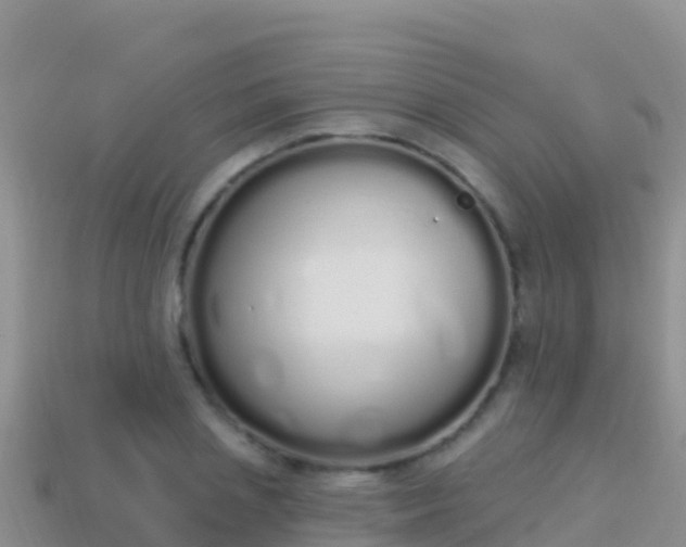 X0000114030837200910091432
