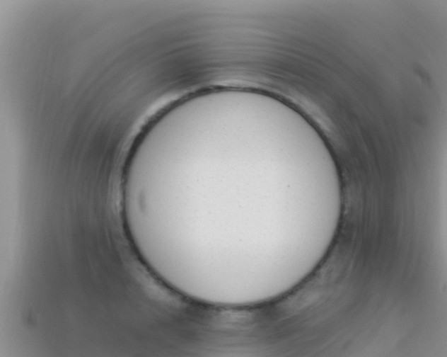 X0000114030848200910091433