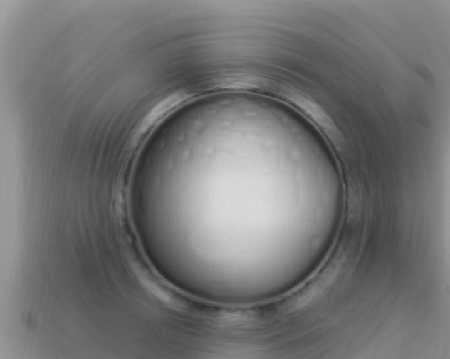 X0000114030850200910091433