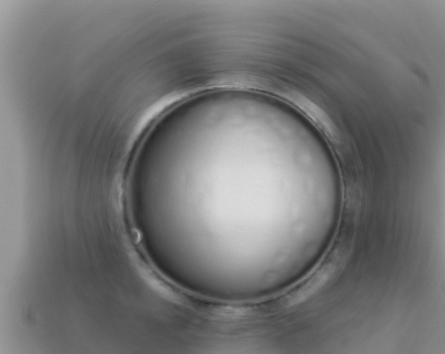X0000114030854200910091433