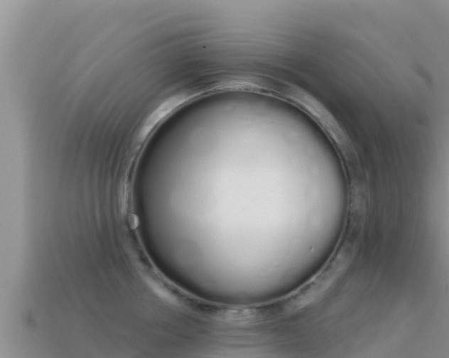 X0000114030858200910091433