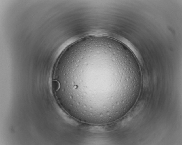 X0000114030861200910091433