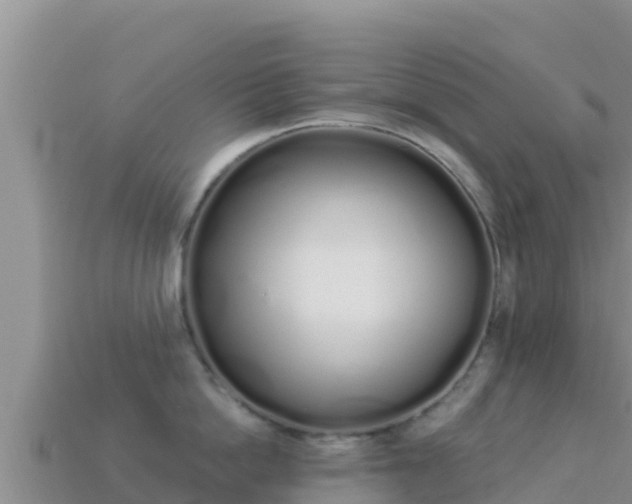 X0000114030862200910091433