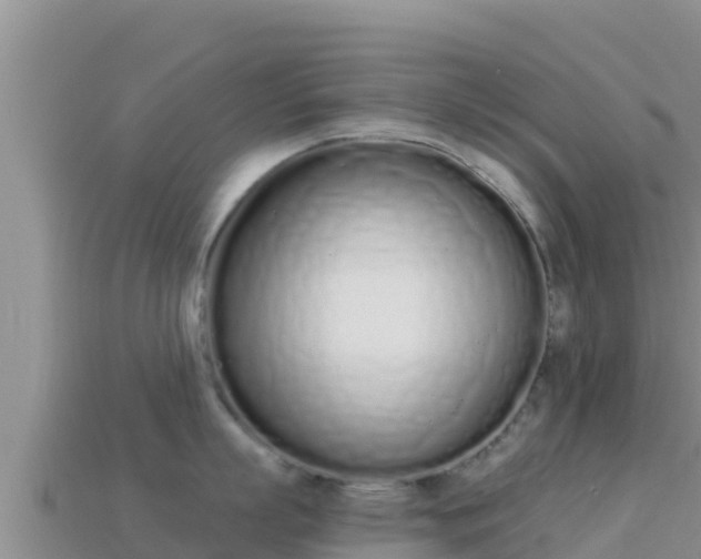 X0000114030863200910091433