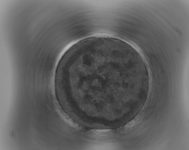 X0000114030864200910091433