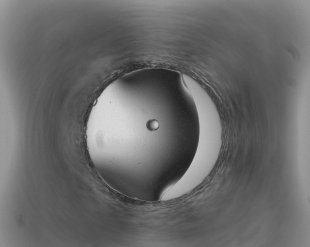 X0000114030865200910091432