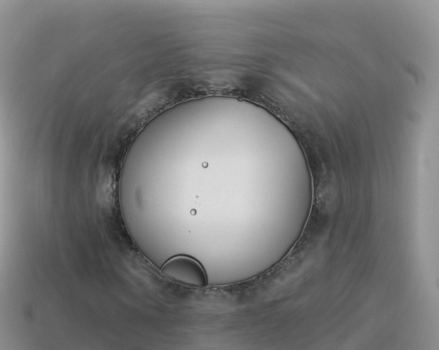 X0000114030866200910091432