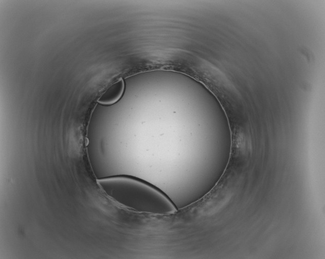 X0000114030868200910091432