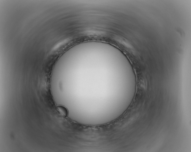 X0000114030869200910091432