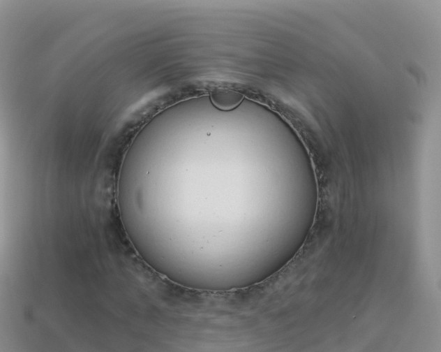 X0000114030870200910091432