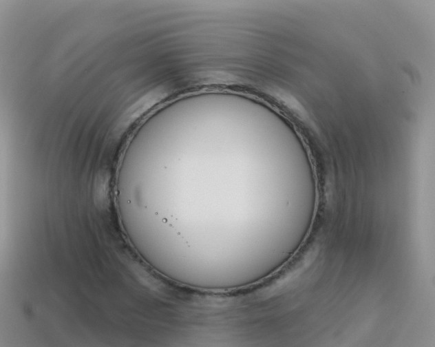 X0000114030873200910091432