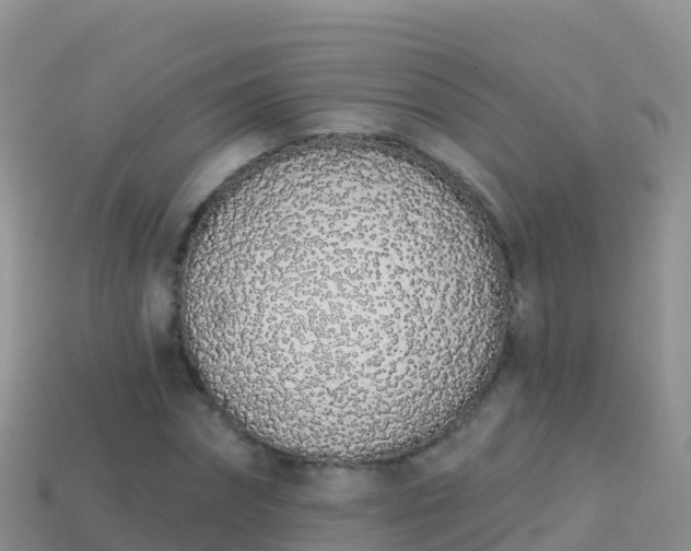 X0000114030874200910091432