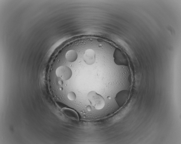 X0000114030875200910091432