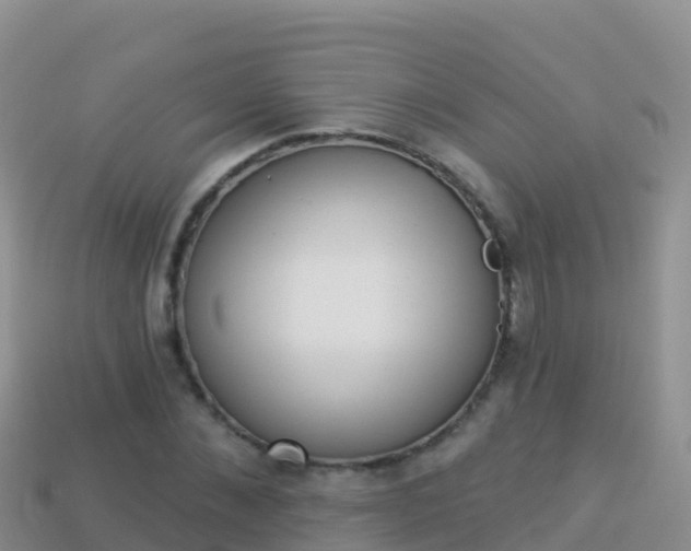 X0000114030876200910091432
