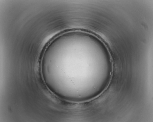 X0000114030879200910091432