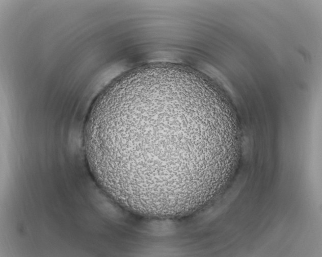 X0000114030882200910091432