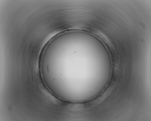 X0000114030884200910091432