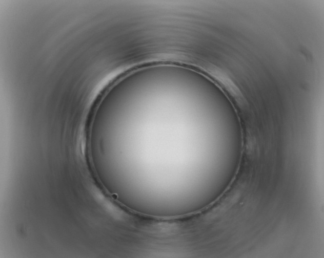 X0000114030888200910091432